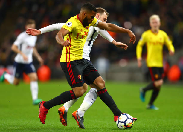 雪爱好者心 雪爱好者心