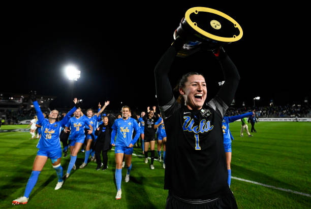 仅需要明星 仅需要明星